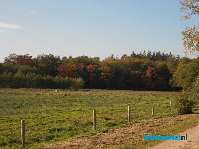 Herfst in kleuren
