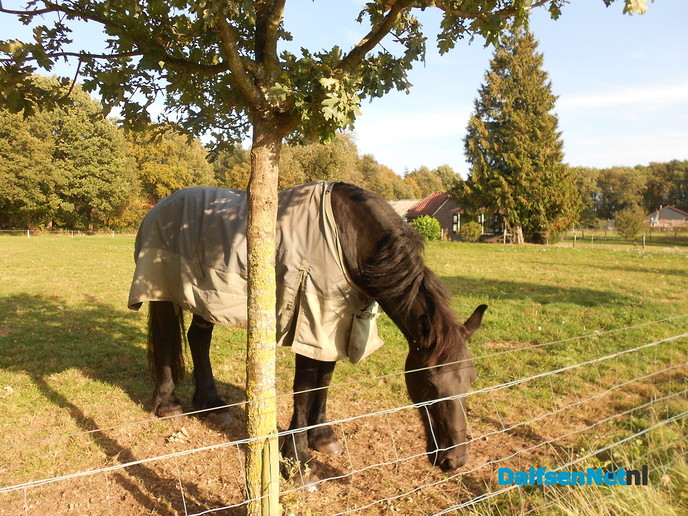 Herfst in kleuren