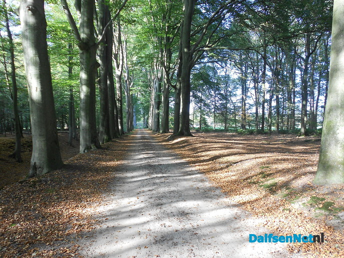 Herfst in kleuren