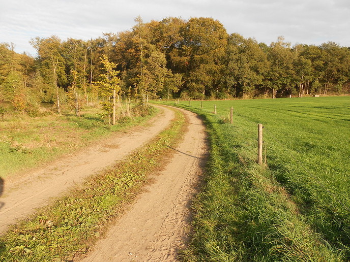 Herfst in kleuren
