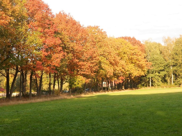 Herfst in kleuren