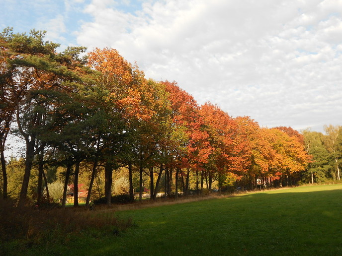Herfst in kleuren