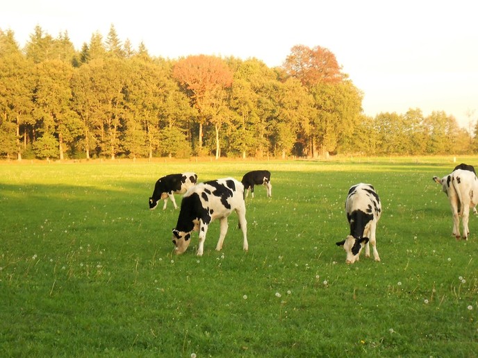 Genieten van de nazomer