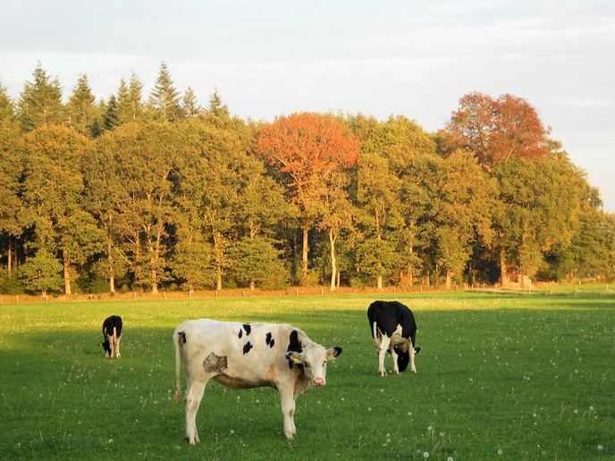 Genieten van de nazomer