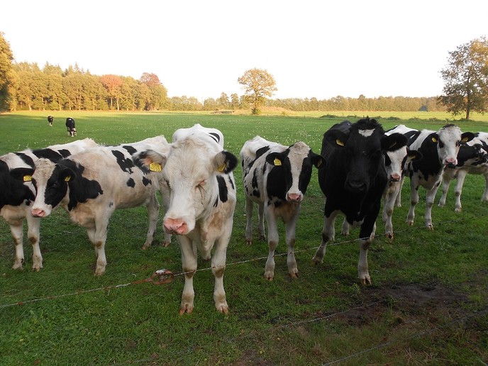Genieten van de nazomer