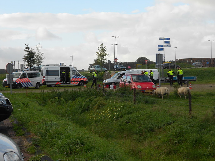 Grote verkeerscontrole Dalfsen