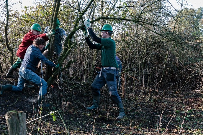 ‘Groene Workout’ in je eigen buurt - Foto: Eigen geleverde foto