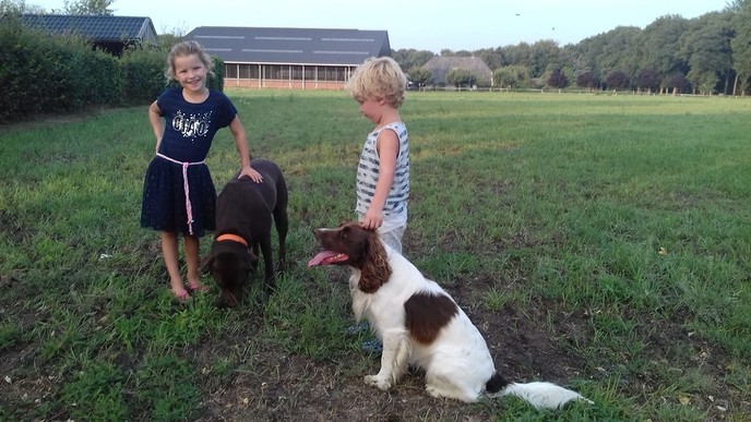 2 hondjes weer aan de wandel maar zijn nu weer terug - Foto: Eigen geleverde foto