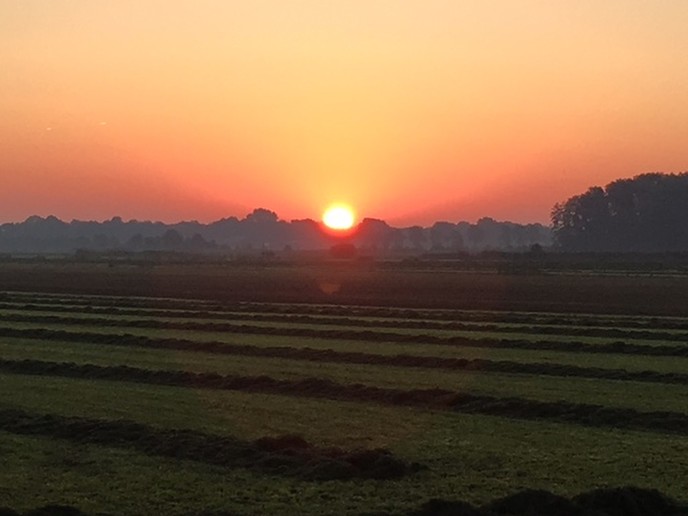 Ingezonden foto’s van Willem