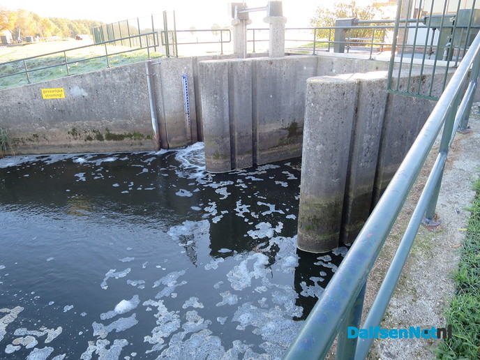 Hoog water ondanks de droogte - Foto: Wim