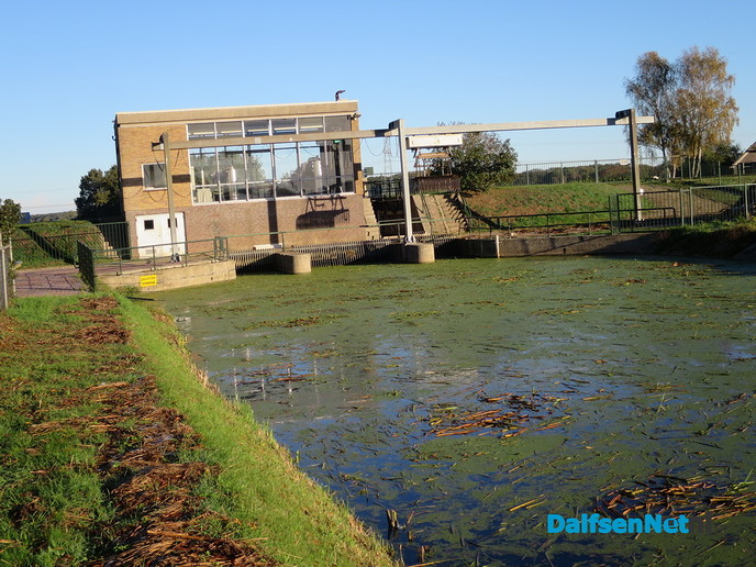 Hoog water ondanks de droogte - Foto: Wim