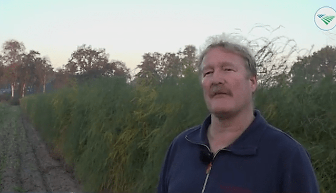 Ernie van der Kolk: dik tevreden over groeiseizoen - Foto: Eigen geleverde foto