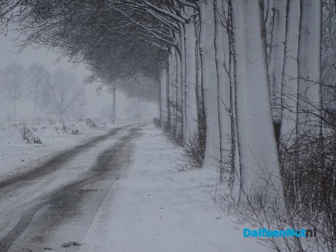 Overijsselse scheurkalender 2019 - Foto: Ingezonden foto