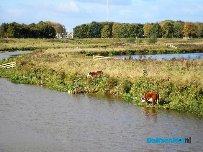 Damespad Vechtdal bedankt iedereen - Foto: Ingezonden foto