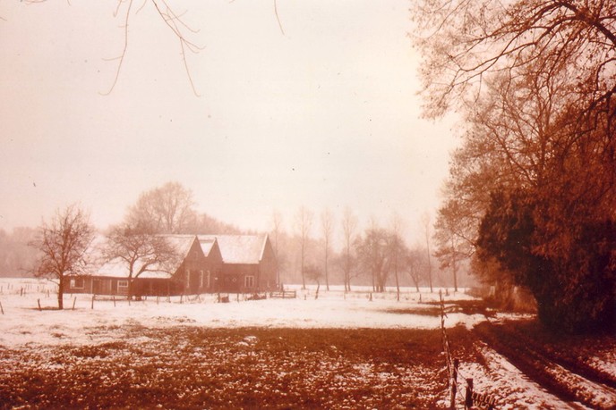 Dan wel achterumme - Foto: Eigen geleverde foto