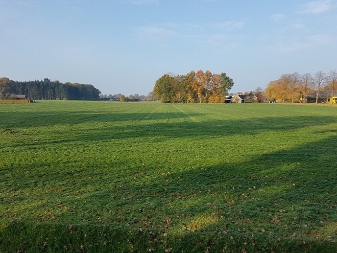 Heerlijk dat broeikaseffect? - Foto: Gruune Jopie