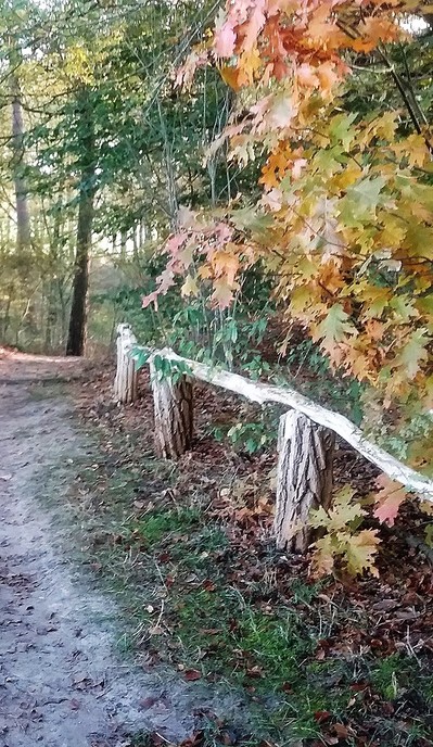 Mooie najaarszondag - Foto: Eigen geleverde foto