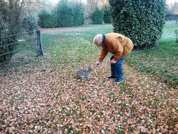 “Tamme ” haas eet uit de hand - Foto: Eigen geleverde foto
