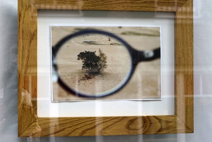 Nieuwe expositie in vitrines Eshuissstraat - Foto: Paul Scholten
