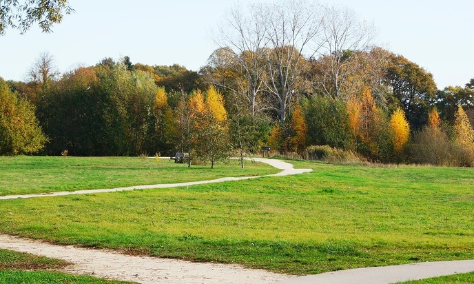 Herfst in de Bellingeweer - Foto: Eigen geleverde foto