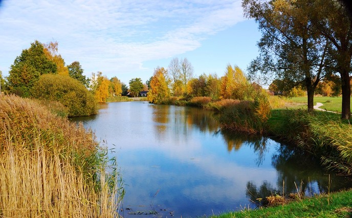 Herfst in de Bellingeweer - Foto: Eigen geleverde foto