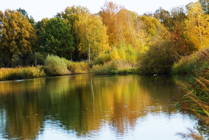 Herfst in de Bellingeweer - Foto: Eigen geleverde foto