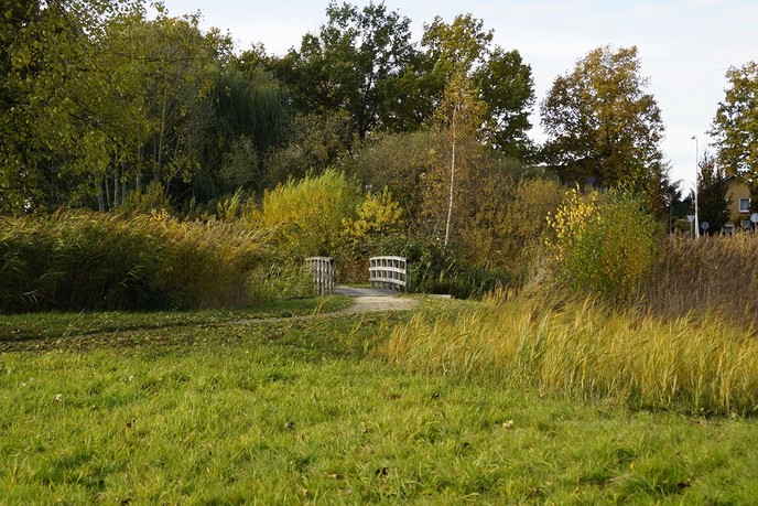Herfst in de Bellingeweer - Foto: Eigen geleverde foto