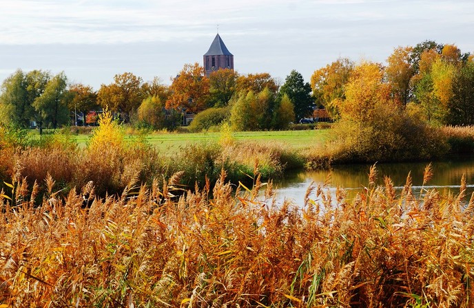 Herfst in de Bellingeweer - Foto: Eigen geleverde foto