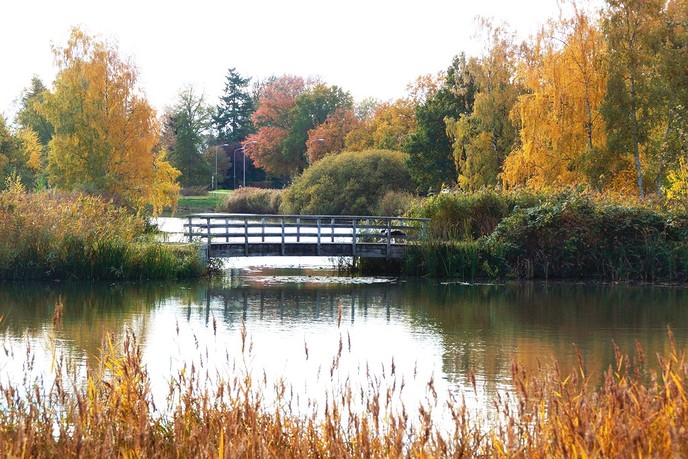 Herfst in de Bellingeweer - Foto: Eigen geleverde foto