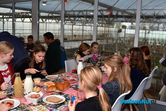 Schoolontbijt met uitzicht op de biggetjes en varkens bij de Varkenshoff - Foto: Johan Bokma
