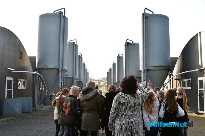 Schoolontbijt met uitzicht op de biggetjes en varkens bij de Varkenshoff - Foto: Johan Bokma
