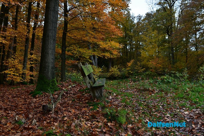 Herfstkleuren Havezate Den Berg Dalfsen - Foto: Johan Bokma