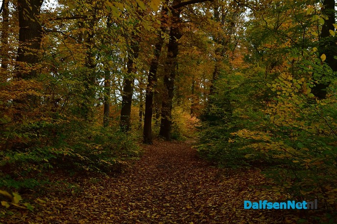 Herfstkleuren Havezate Den Berg Dalfsen - Foto: Johan Bokma