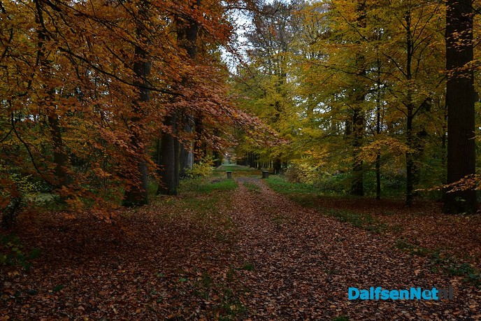 Herfstkleuren Havezate Den Berg Dalfsen - Foto: Johan Bokma