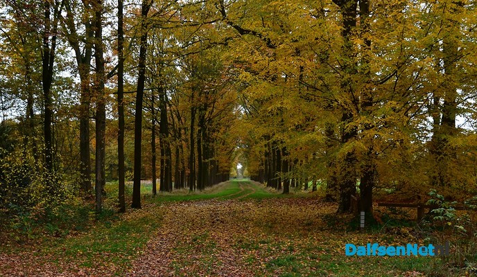 Herfstkleuren Havezate Den Berg Dalfsen - Foto: Johan Bokma
