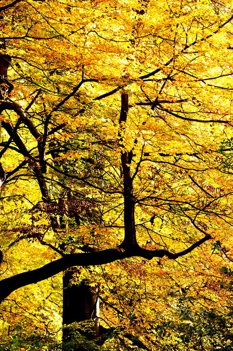 Ingezonden foto’s - Foto: Eigen geleverde foto