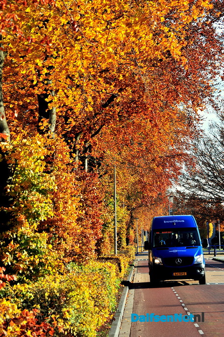 Nog meer prachtige herfstfoto’s - Foto: Ben Jonkman