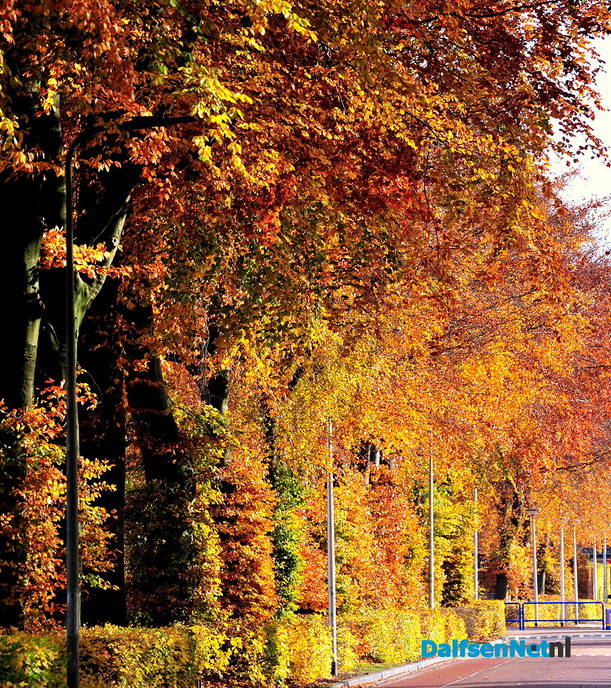 Nog meer prachtige herfstfoto’s - Foto: Ben Jonkman