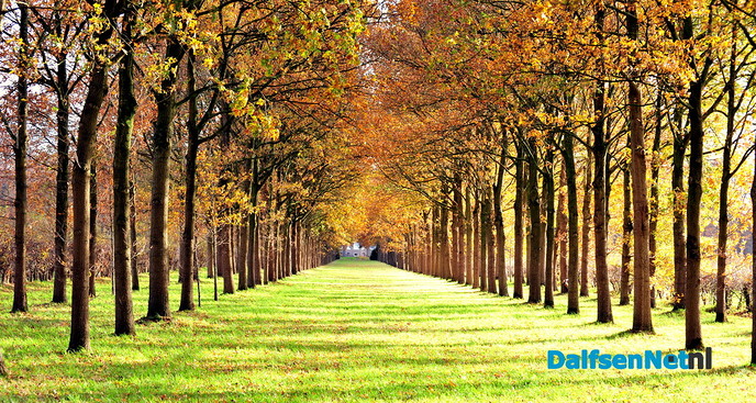 Nog meer prachtige herfstfoto’s - Foto: Ben Jonkman