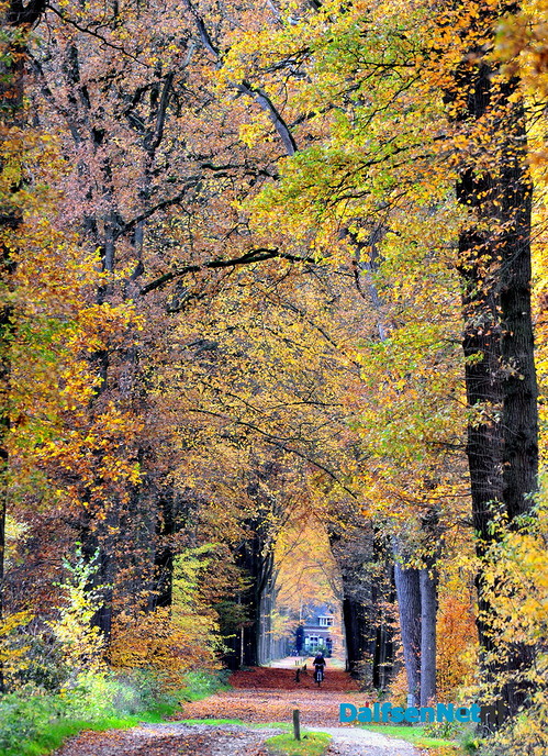 Nog meer prachtige herfstfoto’s - Foto: Ben Jonkman