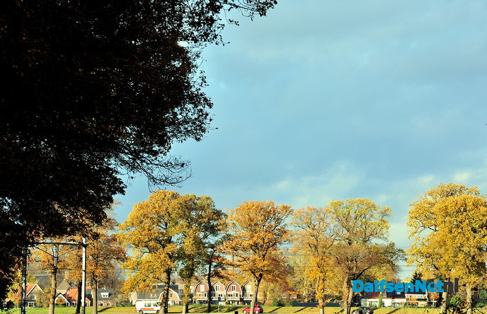 Nog meer prachtige herfstfoto’s - Foto: Ben Jonkman