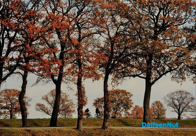 Prachtige natuurfoto’s - Foto: Ben Jonkman