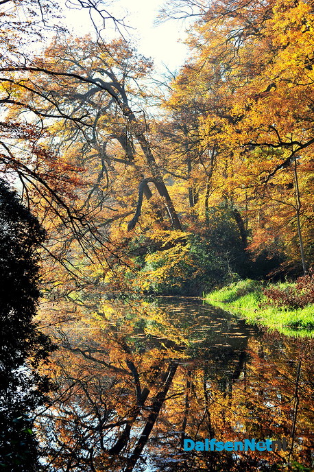Prachtige natuurfoto’s - Foto: Ben Jonkman