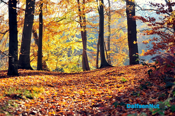 Prachtige natuurfoto’s - Foto: Ben Jonkman