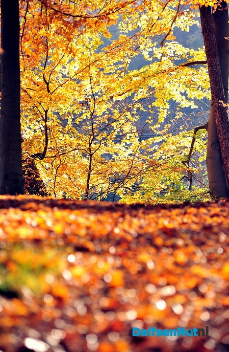 Prachtige natuurfoto’s - Foto: Ben Jonkman