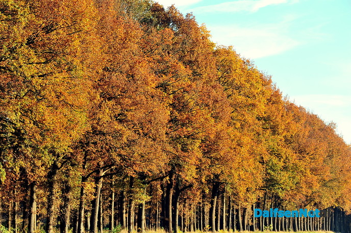 Prachtige natuurfoto’s - Foto: Ben Jonkman