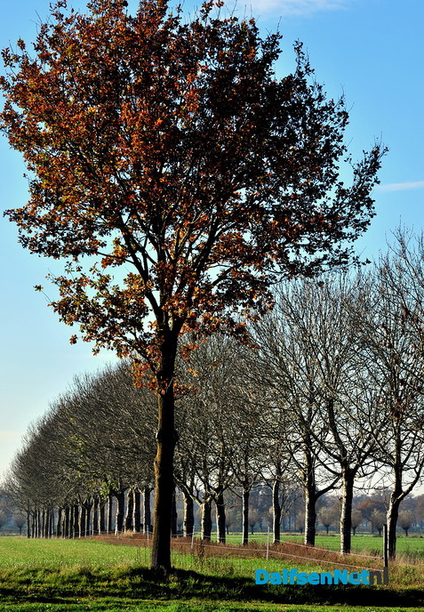 Prachtige beelden rond kasteel Rechteren - Foto: Ben Jonkman