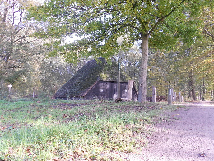 Zo maar wat najaarsbeelden