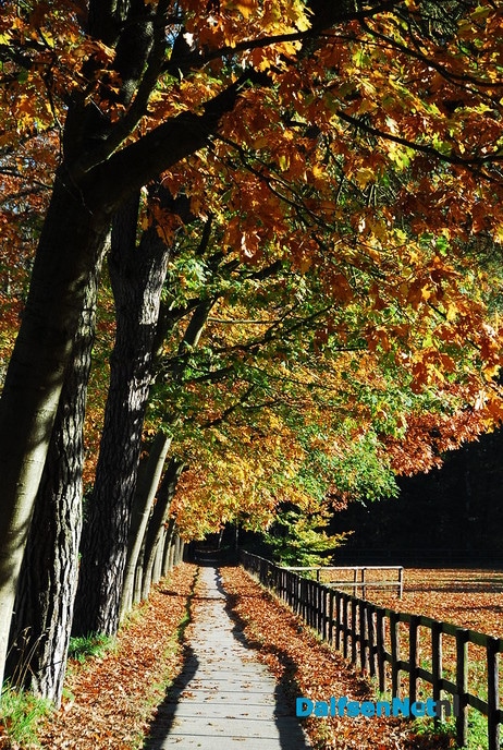 Nog meer prachtige herfstfoto’s - Foto: Ben Jonkman