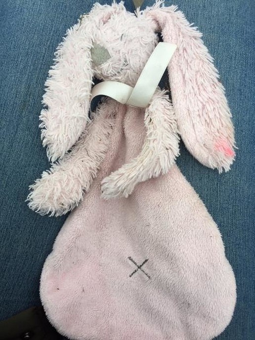 Knuffeltje gevonden en ook weer op de plek - Foto: Eigen geleverde foto
